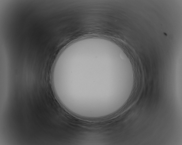 X0000088150705200705141051