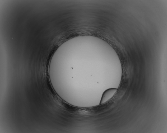 X0000088150706200705141051
