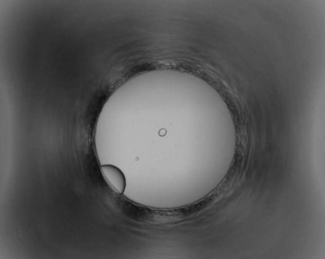 X0000088150707200705141051