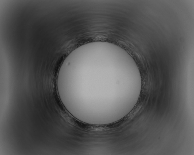 X0000088150710200705141051