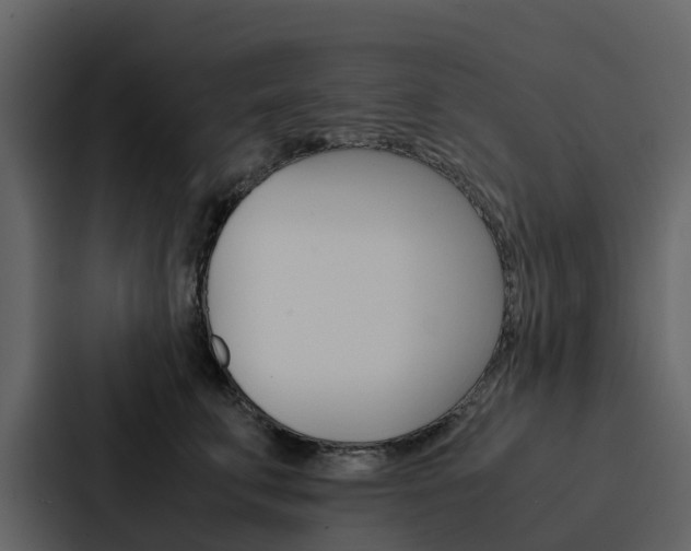 X0000088150711200705141051