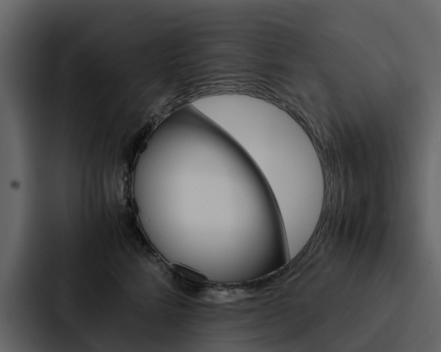 X0000088150712200705141051