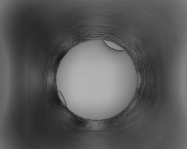X0000088150713200705141051