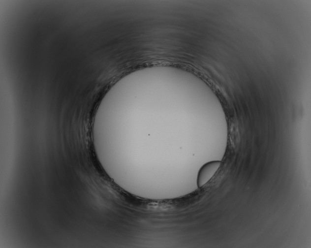 X0000088150714200705141051
