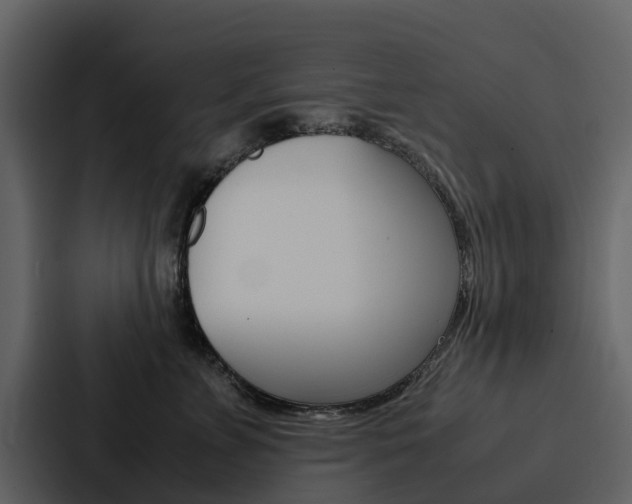 X0000088150715200705141051