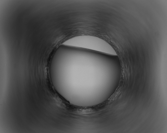 X0000088150716200705141051