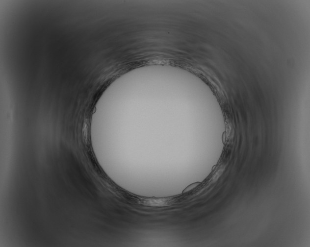 X0000088150717200705141051
