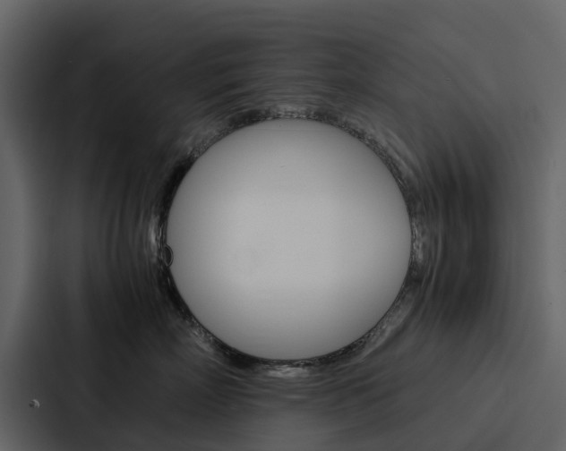 X0000088150718200705141051