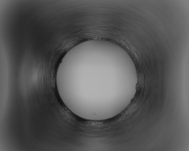 X0000088150719200705141051
