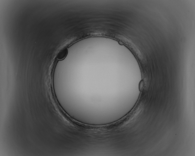 X0000088150721200705141051