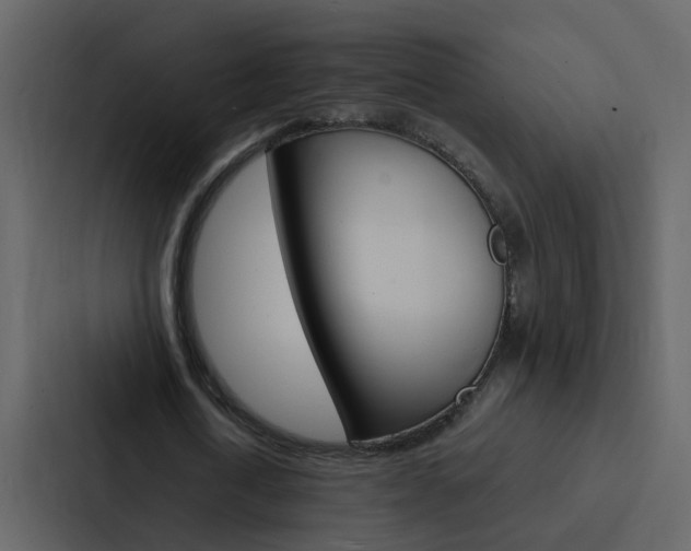 X0000088150722200705141051