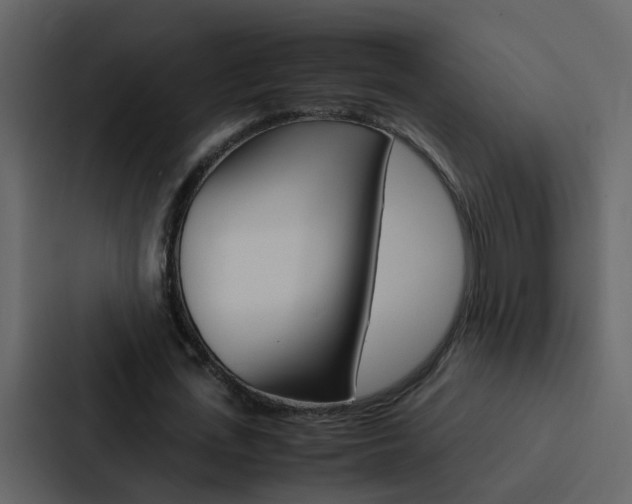 X0000088150723200705141051