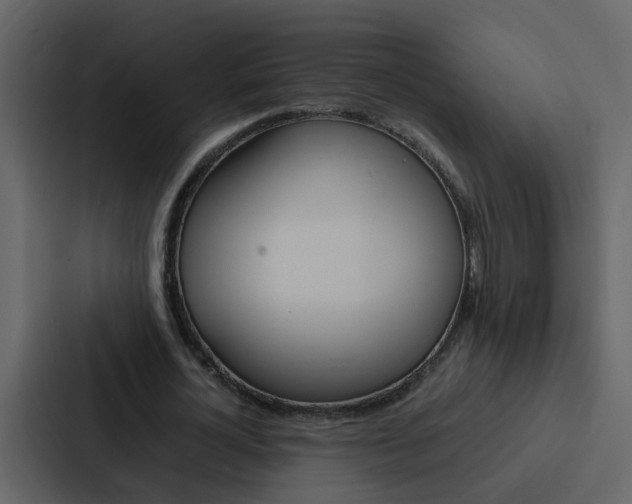 X0000088150724200705141051