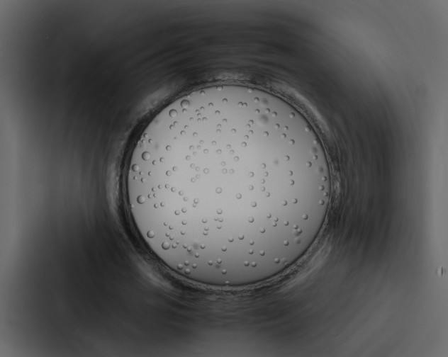 X0000088150725200705141051