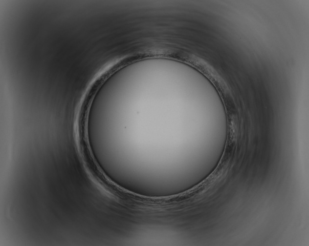 X0000088150726200705141051