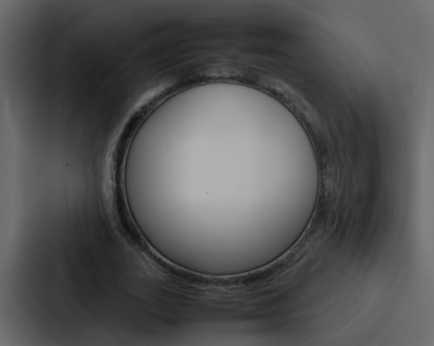 X0000088150727200705141051