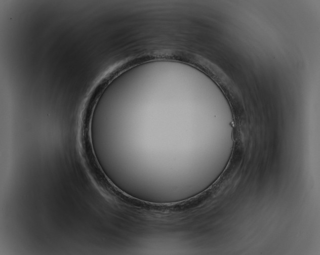 X0000088150728200705141051