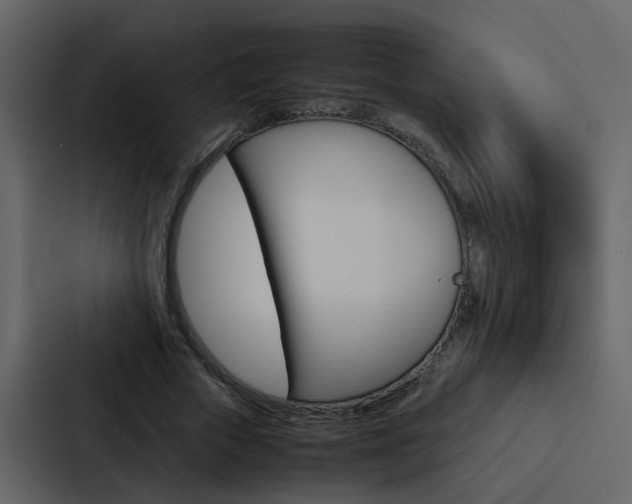 X0000088150729200705141051