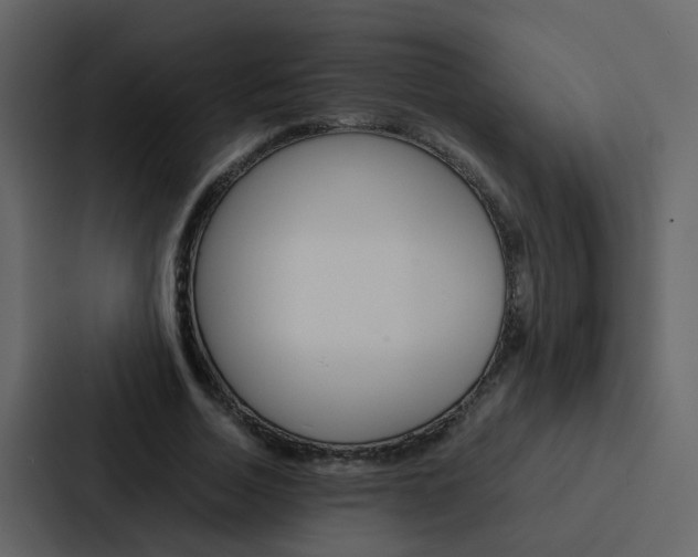 X0000088150730200705141051
