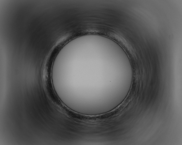 X0000088150731200705141051