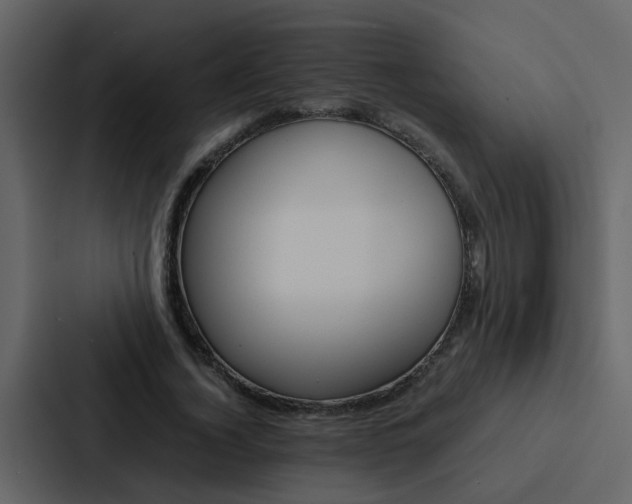 X0000088150732200705141051