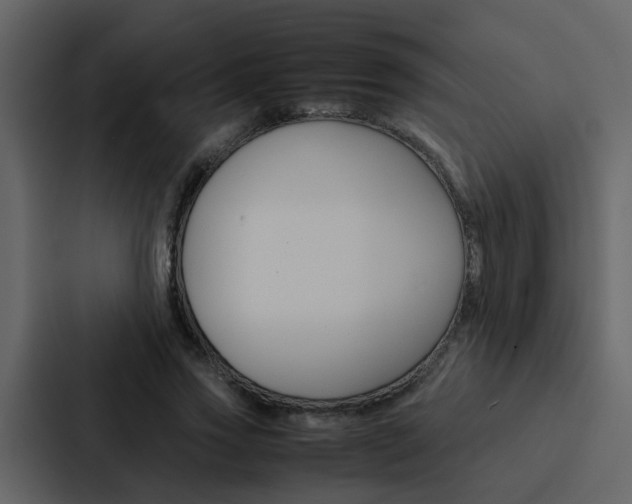 X0000088150733200705141051