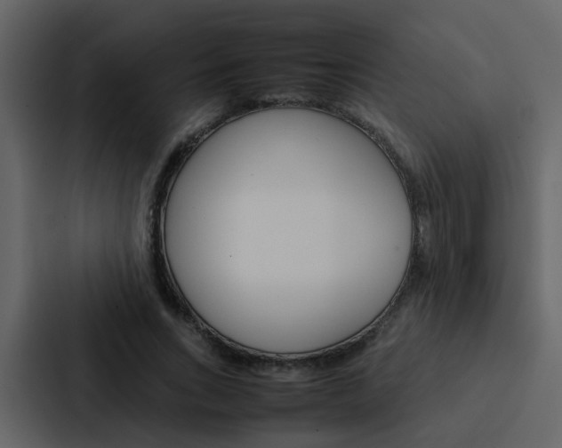 X0000088150735200705141051