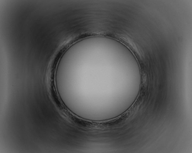 X0000088150736200705141051