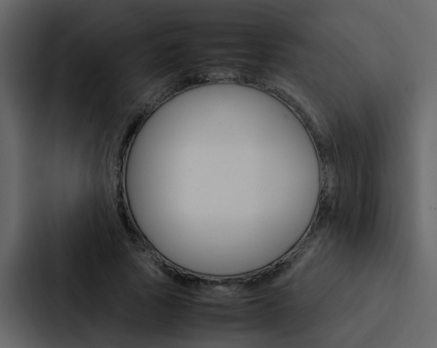 X0000088150737200705141051