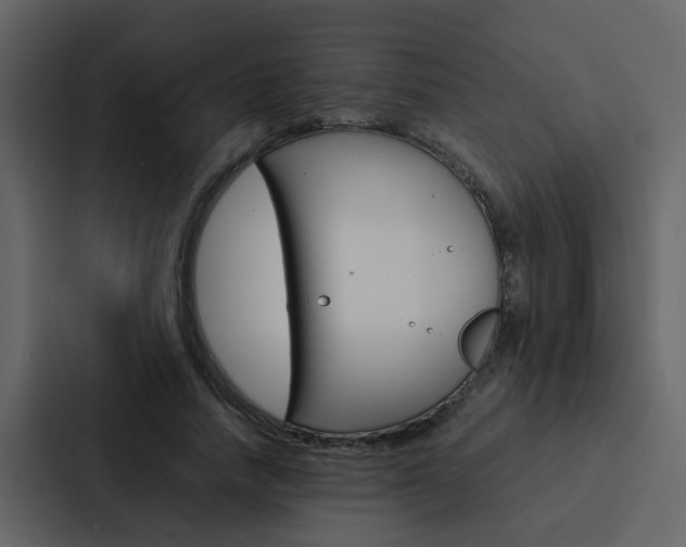 X0000088150738200705141051