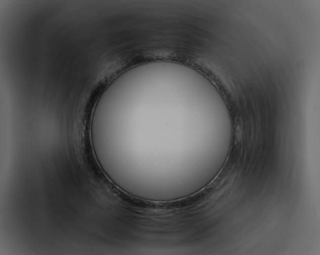 X0000088150739200705141051