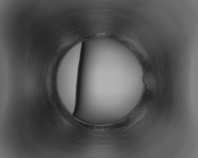 X0000088150740200705141051