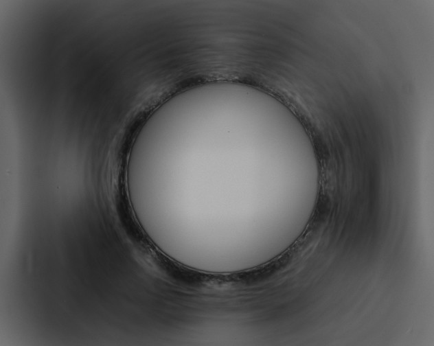 X0000088150742200705141051