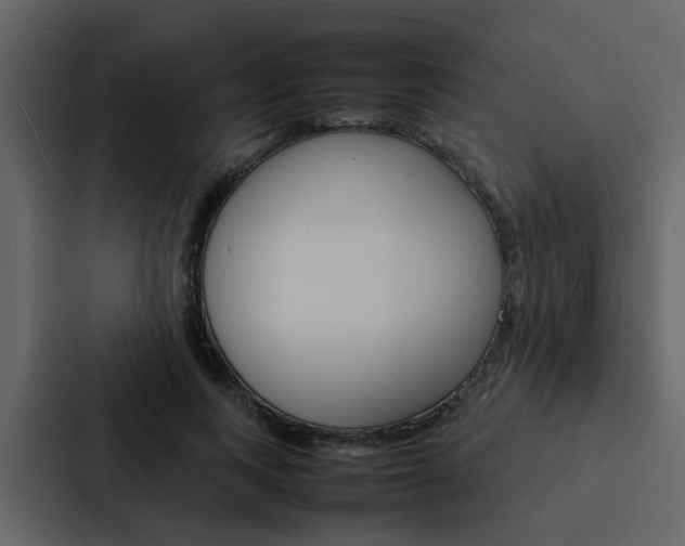 X0000088150743200705141051