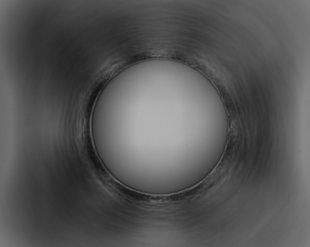 X0000088150744200705141051