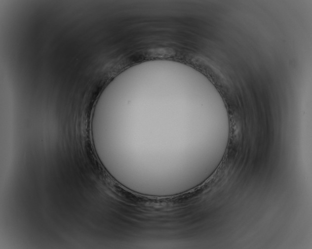 X0000088150745200705141051
