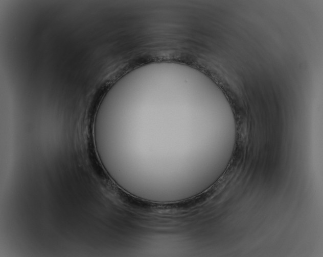 X0000088150746200705141051