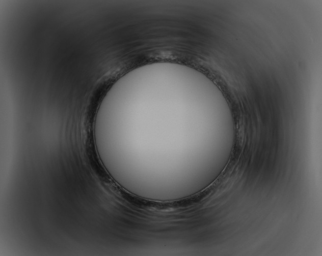 X0000088150747200705141051