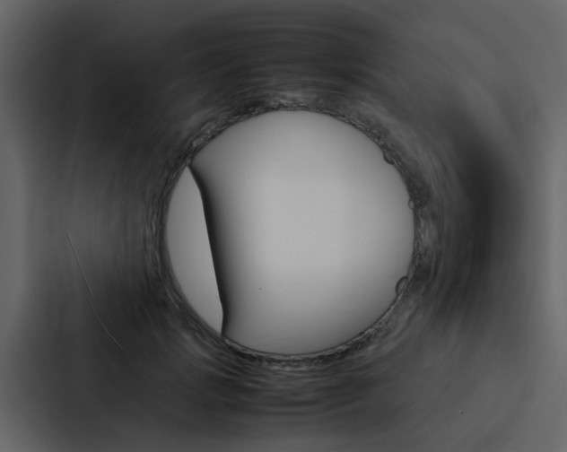X0000088150749200705141051