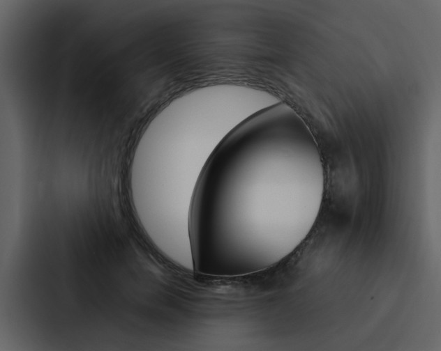 X0000088150750200705141051
