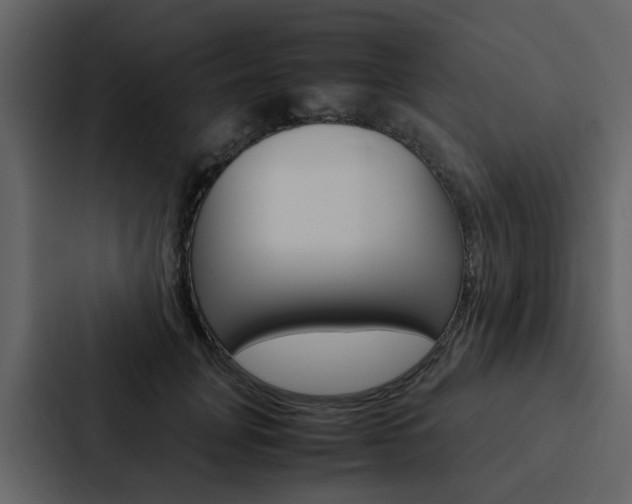 X0000088150751200705141051