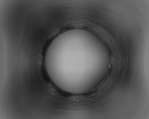X0000088150752200705141051