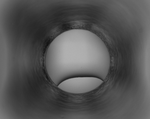 X0000088150753200705141051