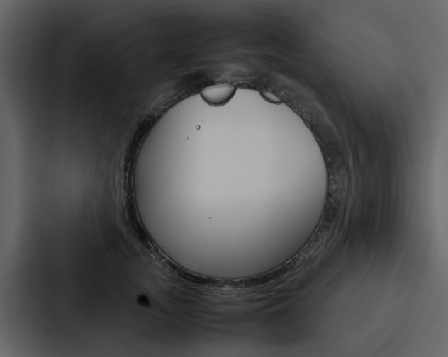 X0000088150755200705141051