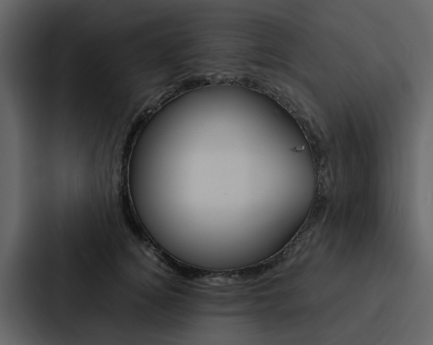 X0000088150756200705141051