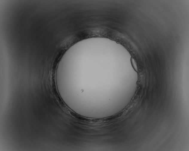 X0000088150757200705141051