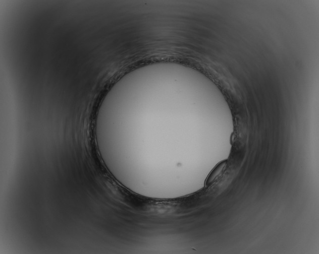 X0000088150758200705141051