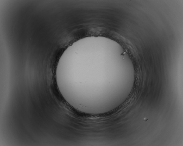 X0000088150759200705141051