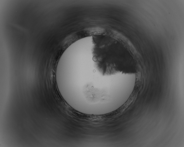 X0000088150761200705141051