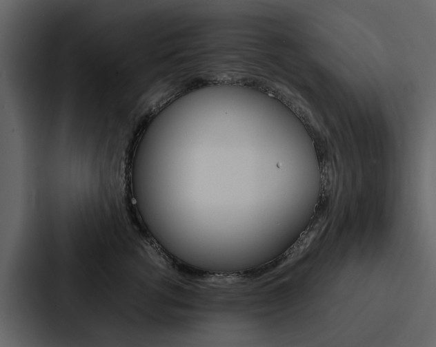 X0000088150762200705141051